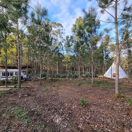 Yuccasa - Small Glamping Camping & Studio'S Pombal  Exterior foto