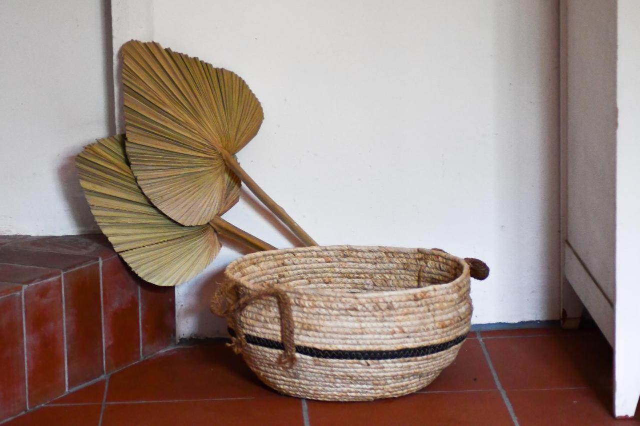 Yuccasa - Small Glamping Camping & Studio'S Pombal  Exterior foto